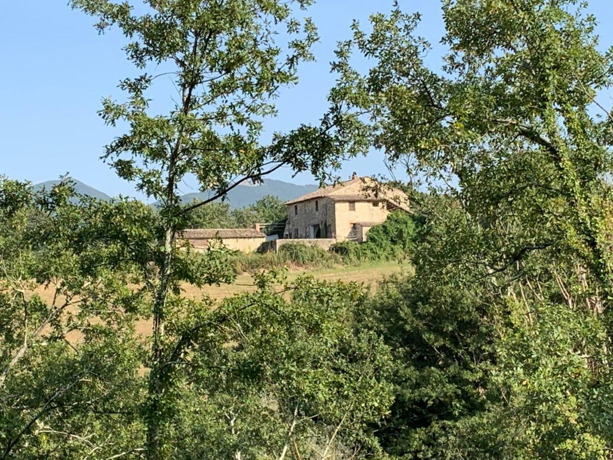 Casale Al Lago Con Piscina E Sauna Corbara  エクステリア 写真