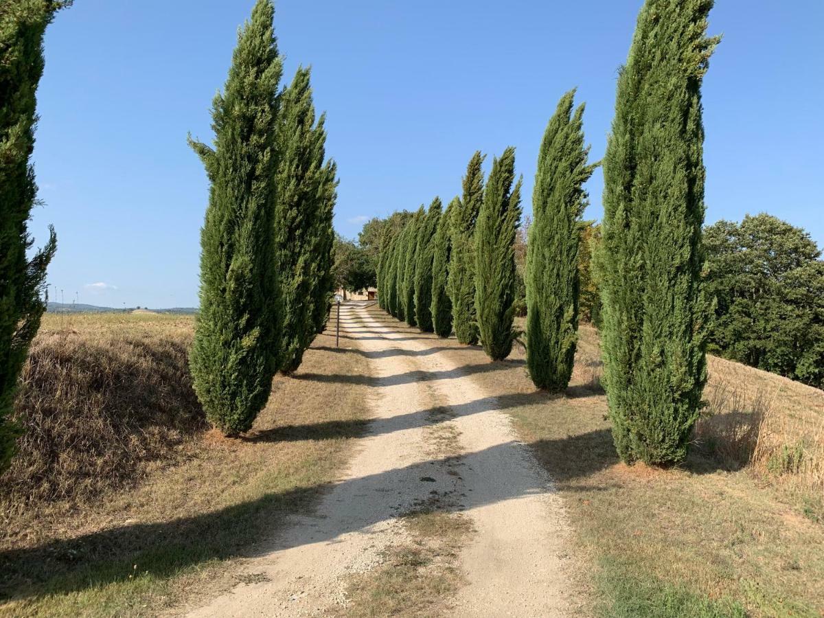 Casale Al Lago Con Piscina E Sauna Corbara  エクステリア 写真