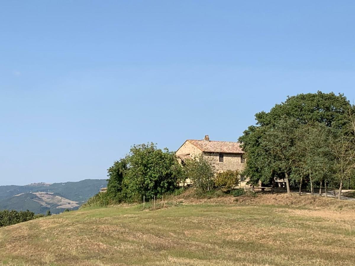 Casale Al Lago Con Piscina E Sauna Corbara  エクステリア 写真