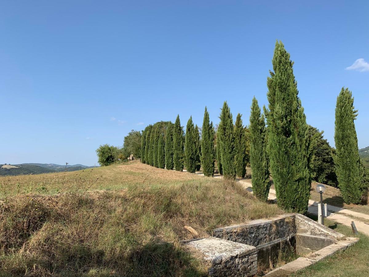 Casale Al Lago Con Piscina E Sauna Corbara  エクステリア 写真