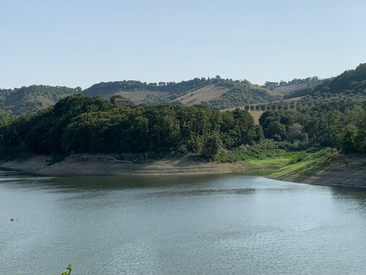 Casale Al Lago Con Piscina E Sauna Corbara  エクステリア 写真