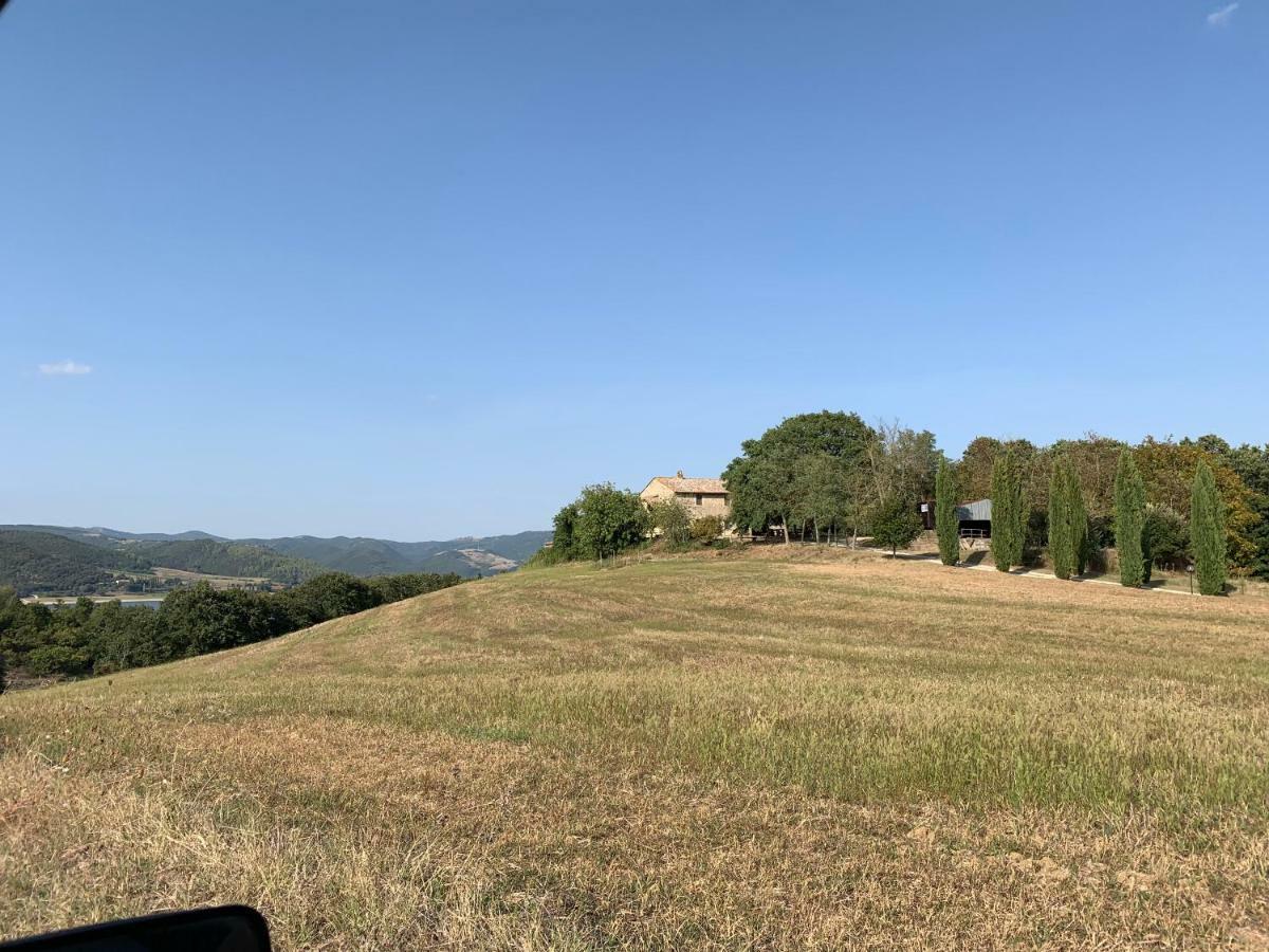 Casale Al Lago Con Piscina E Sauna Corbara  エクステリア 写真