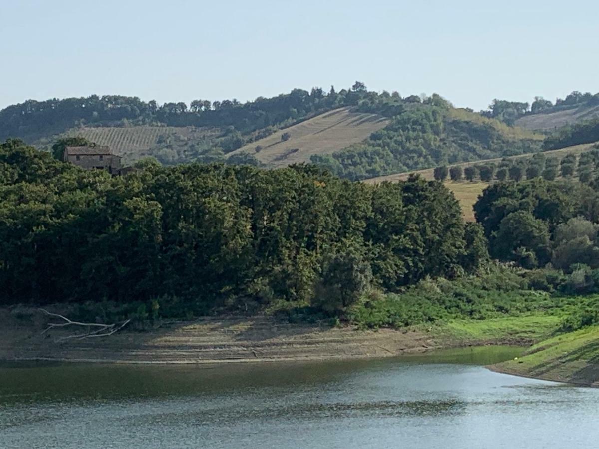 Casale Al Lago Con Piscina E Sauna Corbara  エクステリア 写真